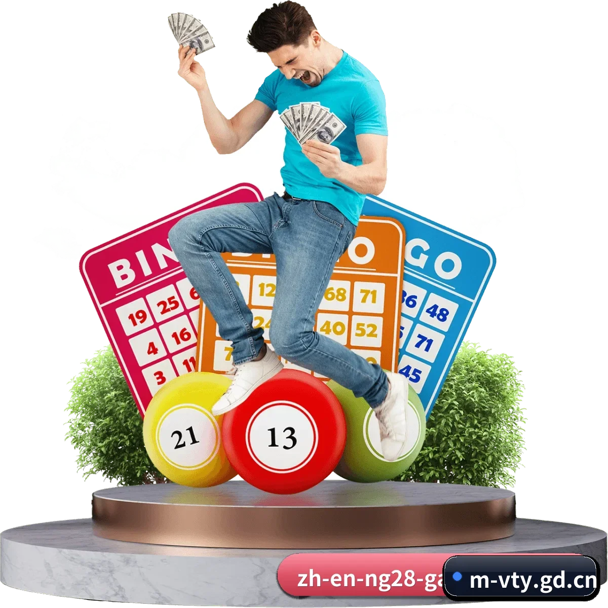 V体育移动版 APP 界面 - vty